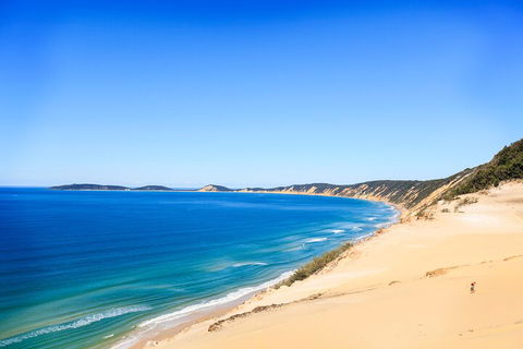 Kayak With Dolphins And 4WD Great Beach Drive Day Trip From Noosa - Holiday Cairns 0
