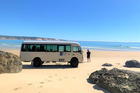 Kayak With Dolphins And 4WD Great Beach Drive Day Trip From Noosa - Holiday Cairns 4