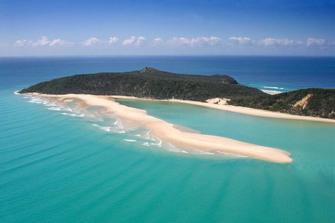 Kayak With Dolphins And 4WD Great Beach Drive Day Trip From Noosa - Holiday Cairns 5