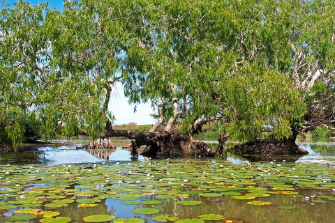 Ethical Adventures - Best In The WET - Litchfield / Kakadu 3 Day- Max 10 Guests - Holiday Cairns 1