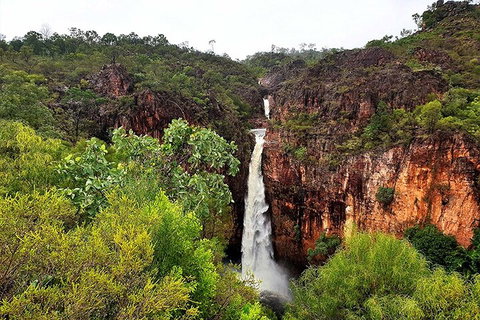 Ethical Adventures - Best In The WET - Litchfield / Kakadu 3 Day- Max 10 Guests - Holiday Cairns 2