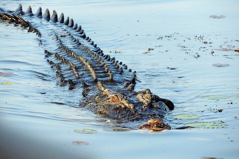 Ethical Adventures - Best In The WET - Litchfield / Kakadu 3 Day- Max 10 Guests - Holiday Cairns 4