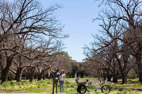 Adelaide 90-Minute Pedicab Tour: Scenic Green & River Experience - Holiday Cairns 1