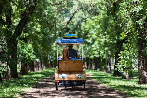 Adelaide 90-Minute Pedicab Tour: Scenic Green & River Experience - Holiday Cairns 2