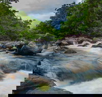 Cape Tribulation Day Tour - Holiday Cairns