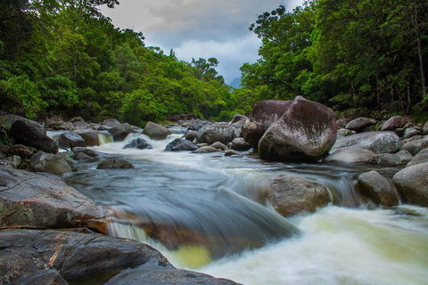 Cape Tribulation Day Tour - Holiday Cairns 0