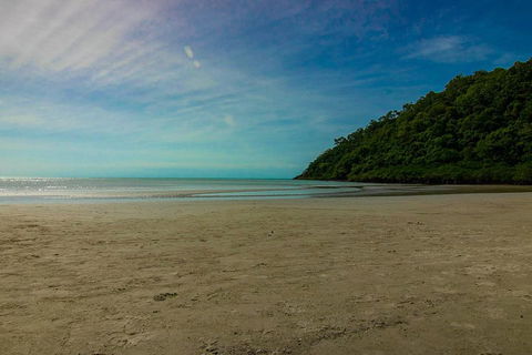Cape Tribulation Day Tour - Holiday Cairns 2