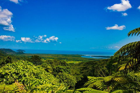 Cape Tribulation Day Tour - Holiday Cairns 3