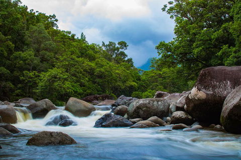 Cape Tribulation Day Tour - Holiday Cairns 4