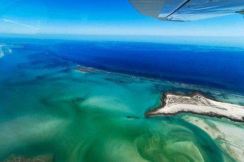 Wet Season Incredible Islands Tour - Horizontal Falls & Cygnet Bay Pearl Farm - Holiday Cairns 4