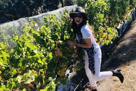 Valleys Of Vino Tour - Holiday Cairns 3
