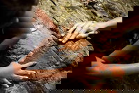 Ngana Julaymba Dungay - Full Day, Port Douglas