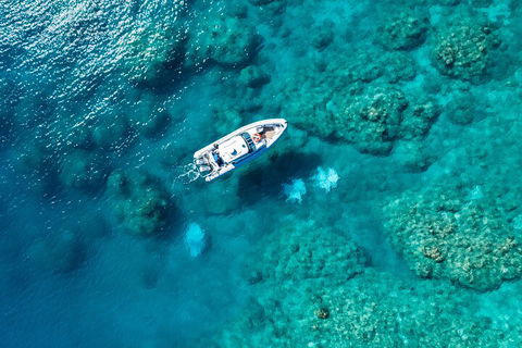 Premium Private Charter - Holiday Cairns 0