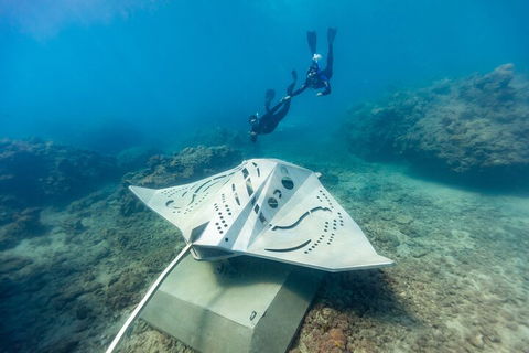 Premium Private Charter - Holiday Cairns 5