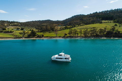 Deep-to-Dish: Tasmanian Seafood Experience - Holiday Cairns 0
