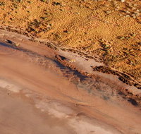 Scenic Flight Lizard Safari - Holiday Cairns