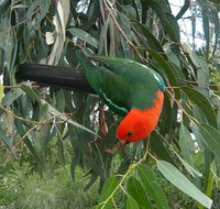 3-Day Private Adelaide to Melbourne tour - Holiday Cairns
