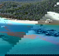 All Inclusive Tangalooma Wrecks Cruise Tour From Gold Coast - Holiday Cairns