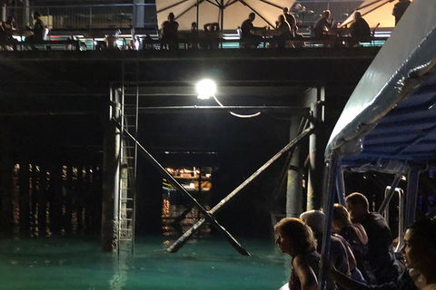 Darwin Sunset Cruise Including Fish 'n' Chips - Holiday Cairns 0