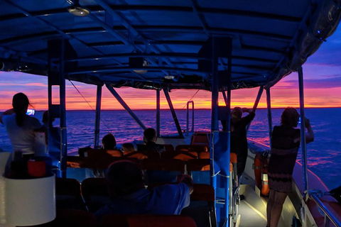 Darwin Sunset Cruise Including Fish 'n' Chips - Holiday Cairns 1