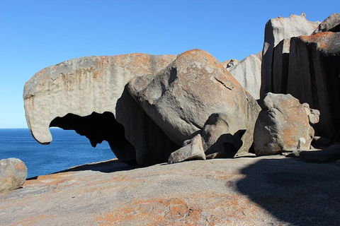 Kangaroo Island Personal Group Tours - Holiday Cairns 2