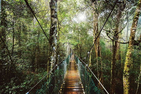 O'Reilly's & Lamington National Park From Gold Coast - Holiday Cairns 0