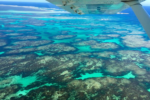 Shipwreck Special Full Day Tour Of The Abrolhos Islands - Holiday Cairns 1