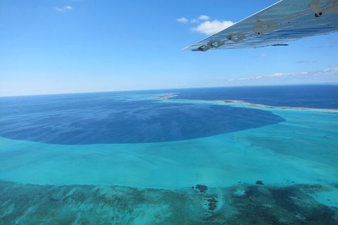 Shipwreck Special Full Day Tour Of The Abrolhos Islands - Holiday Cairns 2