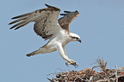 Pink Lake + Abrolhos Islands Nature Tour - Holiday Cairns 3