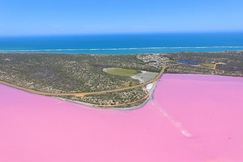 Pink Lake + Abrolhos Islands Nature Tour - Holiday Cairns 4