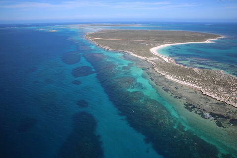 Pink Lake + Abrolhos Islands Scenic Flight - Holiday Cairns 0