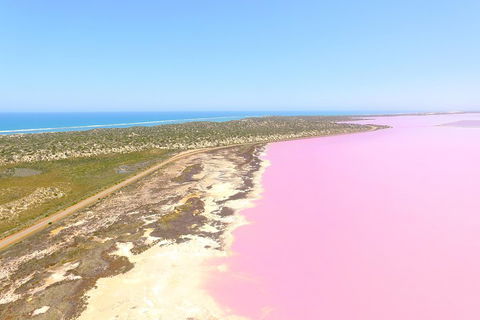 Pink Lake + Abrolhos Islands Scenic Flight - Holiday Cairns 4