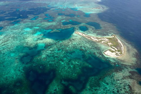 Pink Lake + Abrolhos Islands Scenic Flight - Holiday Cairns 5