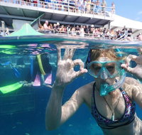 Great Barrier Reef Day Cruise from Cairns Including Snorkeling and Marine Biologist Presentation