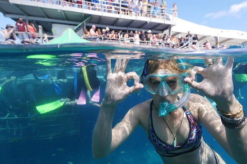 Great Barrier Reef Day Cruise From Cairns Including Snorkeling And Marine Biologist Presentation - Holiday Cairns 0