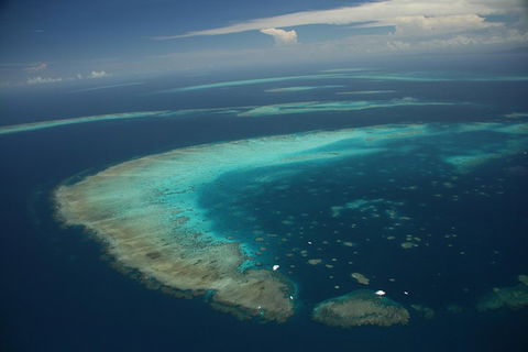 Great Barrier Reef Day Cruise From Cairns Including Snorkeling And Marine Biologist Presentation - Holiday Cairns 1