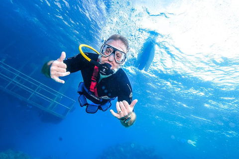 Great Barrier Reef Day Cruise From Cairns Including Snorkeling And Marine Biologist Presentation - Holiday Cairns 3