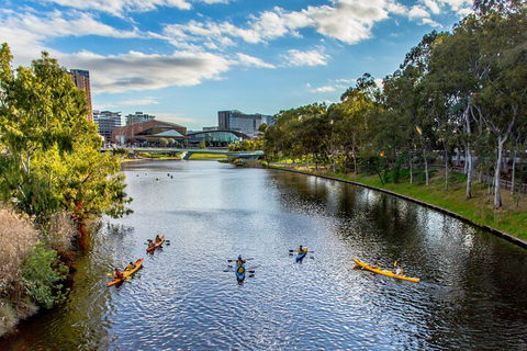 Adelaide City Kayak Tour - Holiday Cairns 0