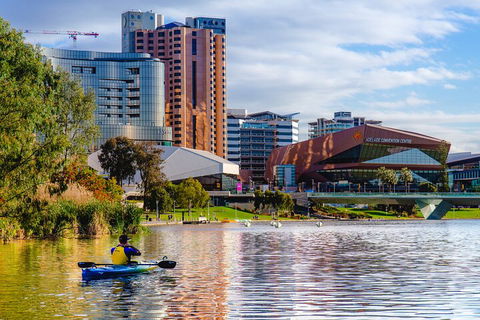 Adelaide City Kayak Tour - Holiday Cairns 3