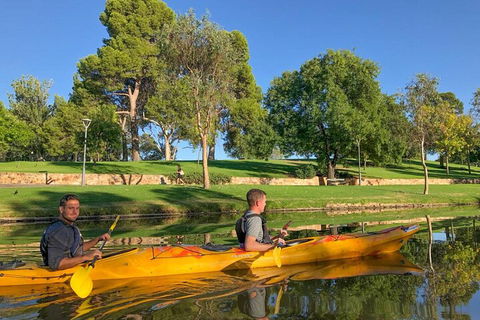 Adelaide City Kayak Tour - Holiday Cairns 4