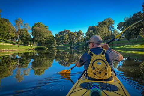 Adelaide City Kayak Tour - Holiday Cairns 5