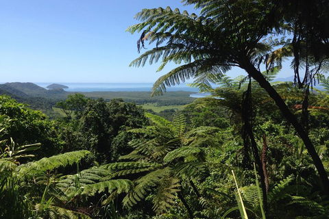 Daintree And Cape Tribulation Full Day Guided Tour - Holiday Cairns 2