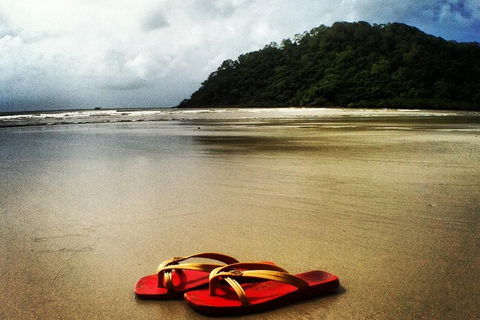 Daintree And Cape Tribulation Full Day Guided Tour - Holiday Cairns 4
