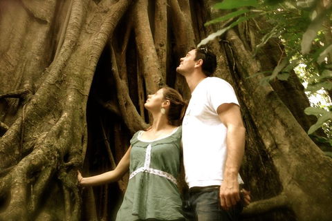 Daintree And Cape Tribulation Full Day Guided Tour - Holiday Cairns 5