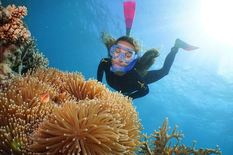 Quicksilver Outer Great Barrier Reef Snorkel Cruise From Palm Cove - Holiday Cairns 2