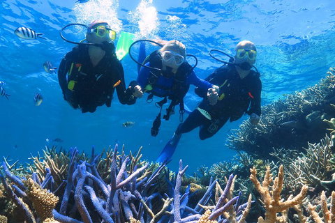 Quicksilver Outer Great Barrier Reef Snorkel Cruise From Palm Cove - Holiday Cairns 3