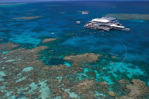 Ultimate 3-Day Great Barrier Reef Cruise Pass - Holiday Cairns 3