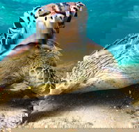 Sail Snorkel SUP  Kayak Charter Whitsundays - Holiday Cairns
