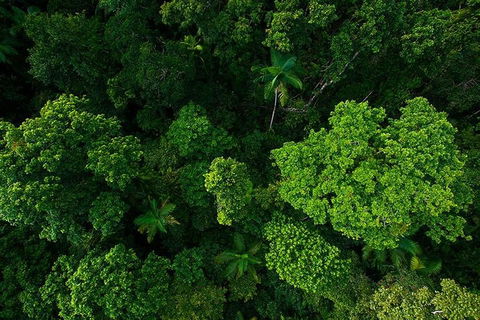 Cairns & Port Douglas All-Inclusive 7 Days Touring Package - Holiday Cairns 4