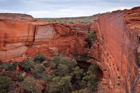 Uluru, Kata Tjuta And Kings Canyon Camping Safari From Ayers Rock - Holiday Cairns 1
